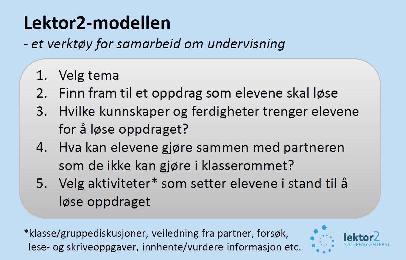 Lektor 2: Lektor2-modellen